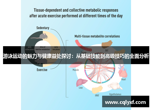 游泳运动的魅力与健康益处探讨：从基础技能到高级技巧的全面分析